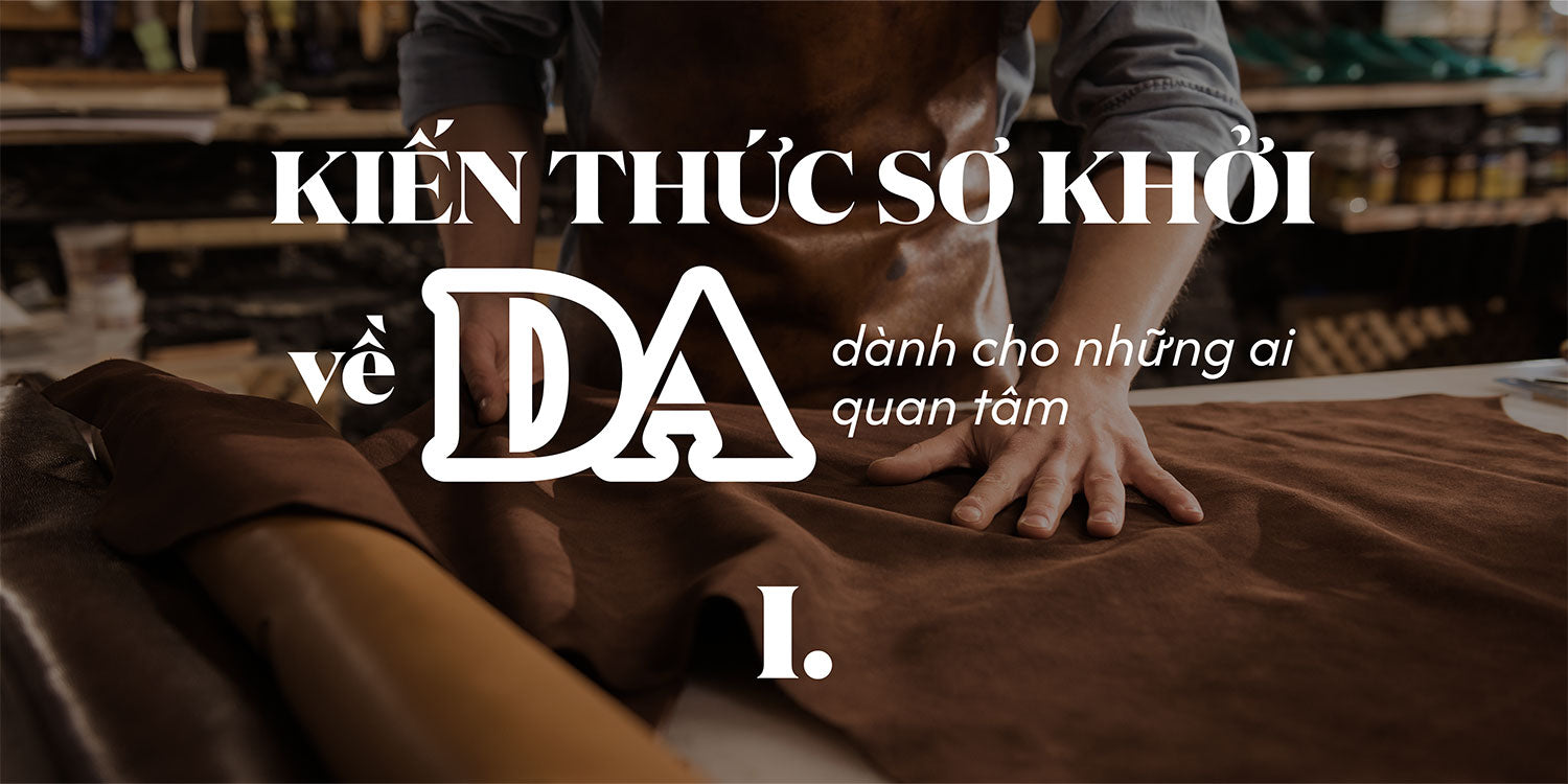 [ Phần 1 ] Kiến thức sơ khởi về da dành cho những ai quan tâm.