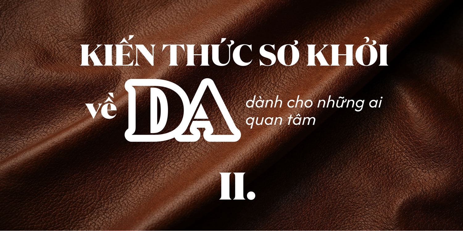 [ Phần 2 ] Kiến thức sơ khởi về da dành cho những ai quan tâm.